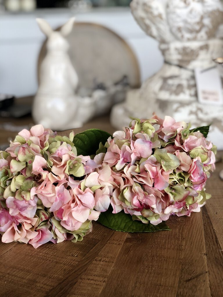 Short Stem Hydrangea 18", Mauve/Green