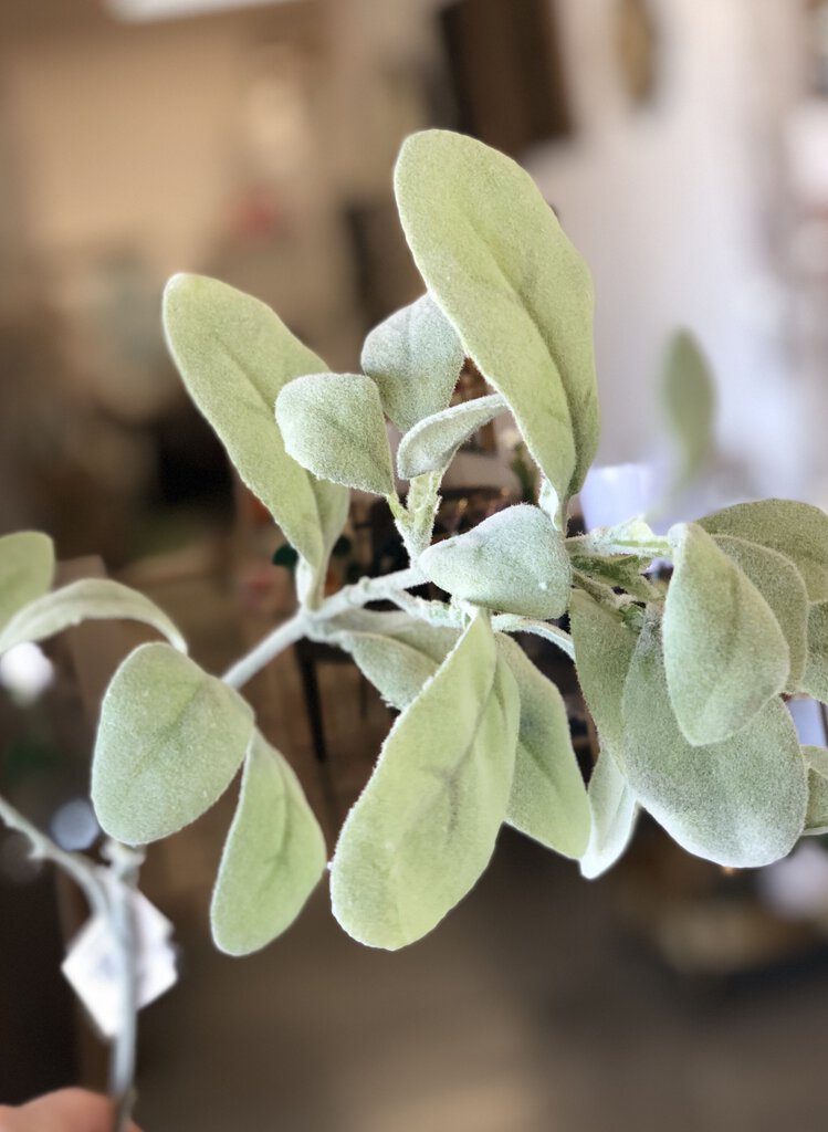 20" Lambs Ear Single Stem