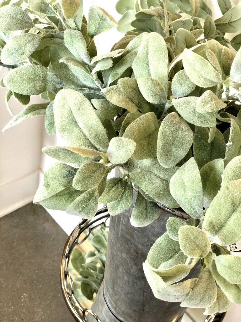 20" Lambs Ear Single Stem