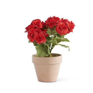 Red Potted Begonia, 11in